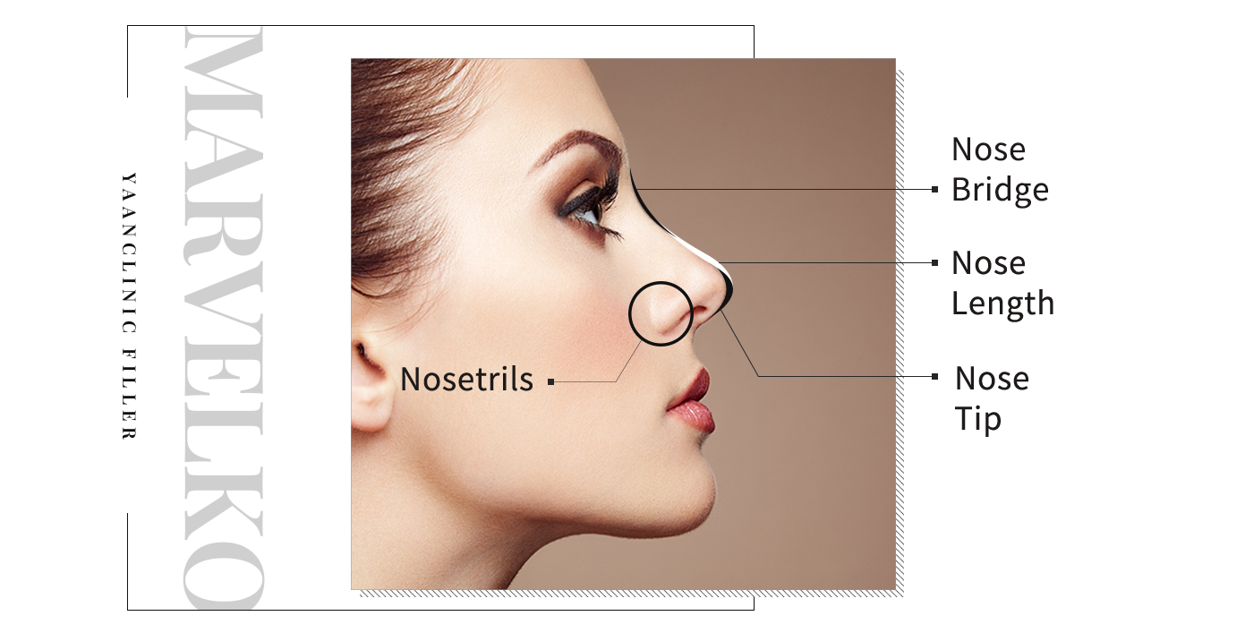 nose