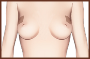 bra