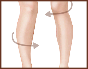 leg