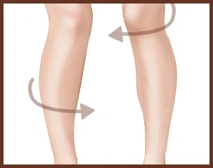 leg