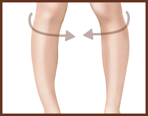 leg