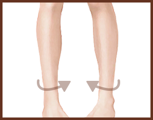 leg
