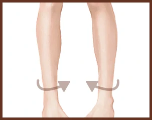 leg