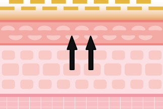 step2