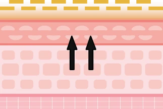 step2