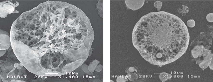 Particle Structure
