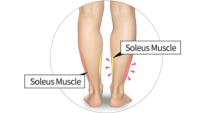 Calf