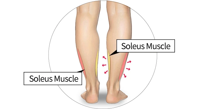 Calf