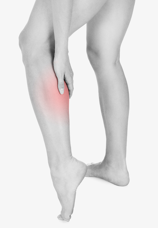 leg