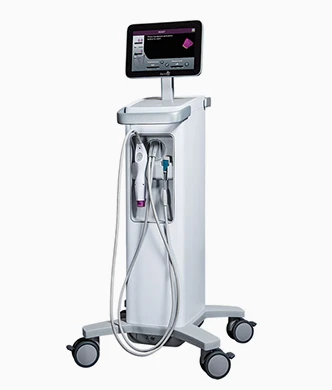 Thermage FLX