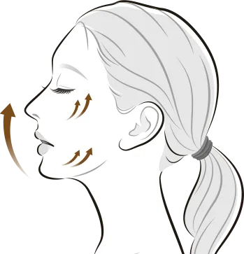 Total Tip สำหรับการรักษาทั่วใบหน้า - Thermage FLX