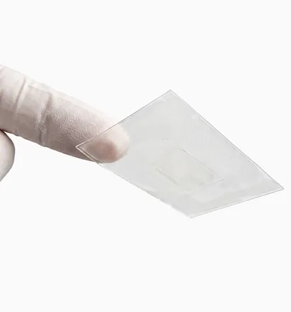 āđāļāļĢāļ·āđāļāļ Protecter āļāļĩāđ Yaan Clinic