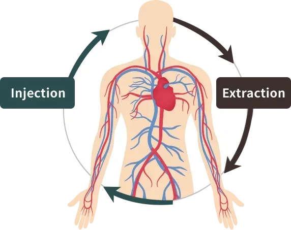 หัตถการสเต็มเซลล์เพื่อการชะลอวัย ที่ Yaan Clinic ย่านกังนัม กรุงโซล
