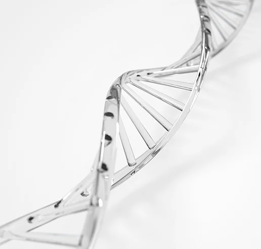 3D illustration of a DNA double helix