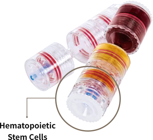 Three-chamber separation kit with the hematopoietic stem cell layer highlighted